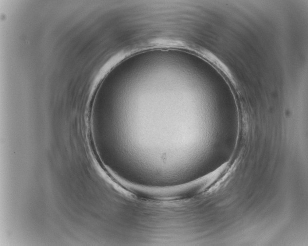 X0000070401381200606161334