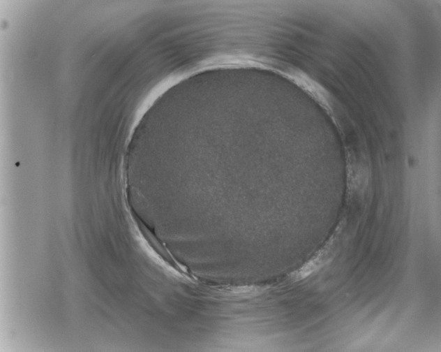 X0000070401382200606161334