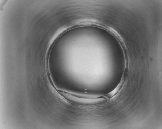 X0000070401384200606161334