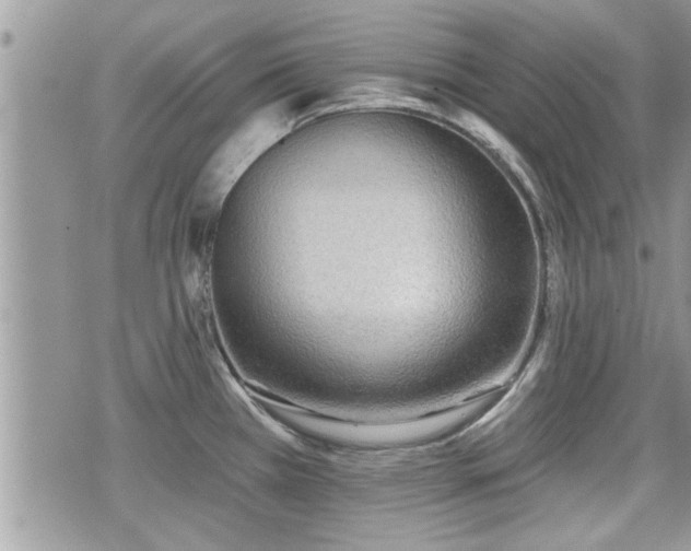 X0000070401385200606161334