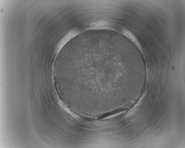 X0000070401386200606161334