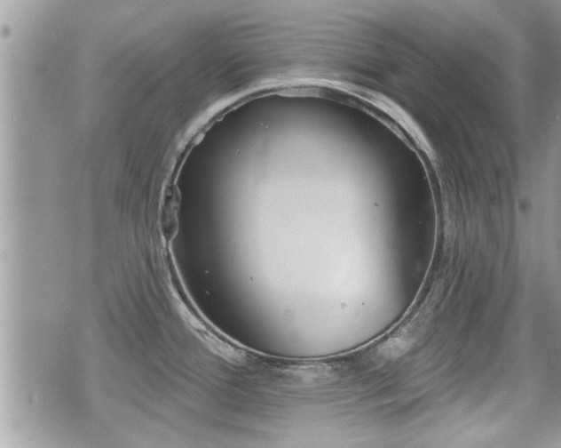 X0000070401388200606161334