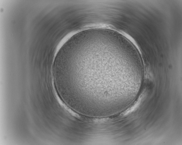 X0000070401389200606161334