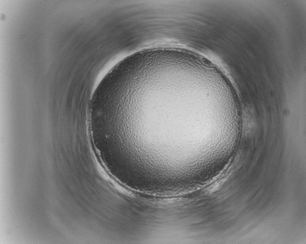 X0000070401390200606161334