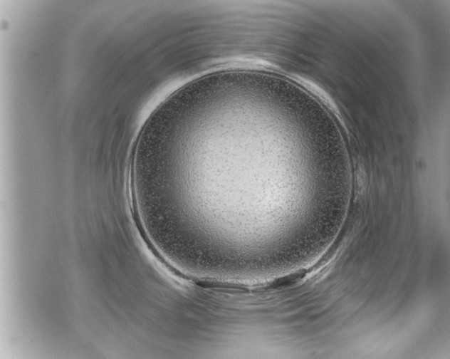 X0000070401391200606161334