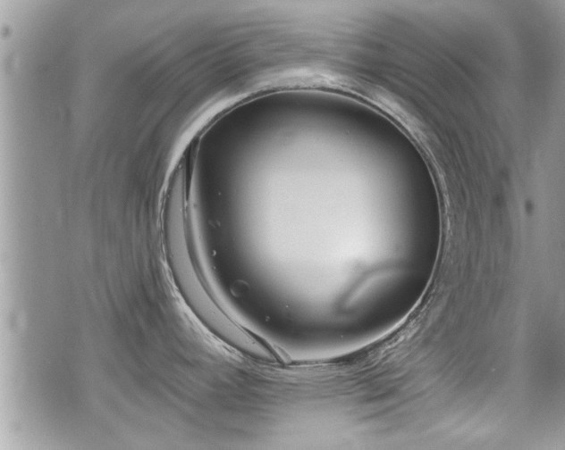 X0000070401392200606161334