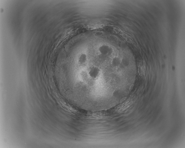 X0000070401393200606161333