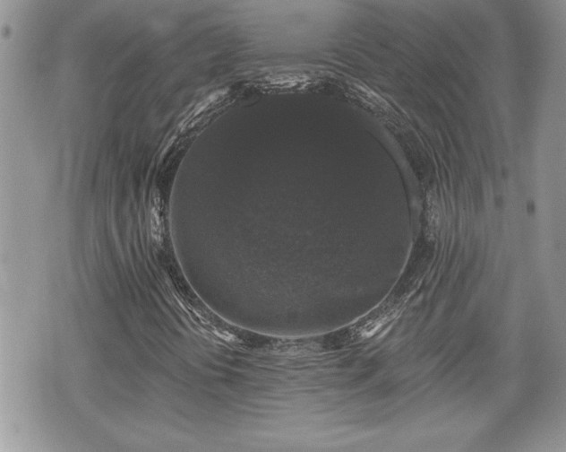 X0000070401394200606161333