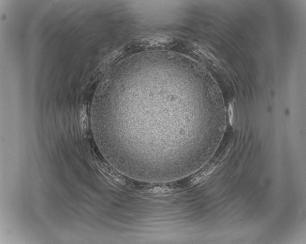 X0000070401395200606161333