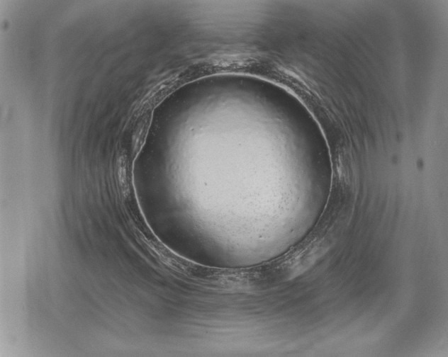 X0000070401396200606161333