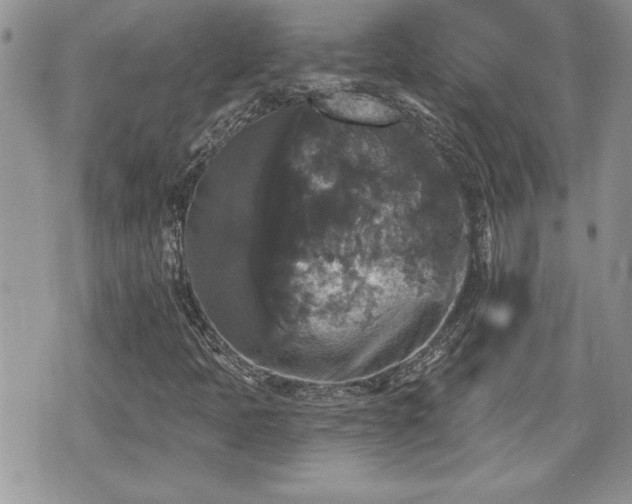 X0000070401397200606161333