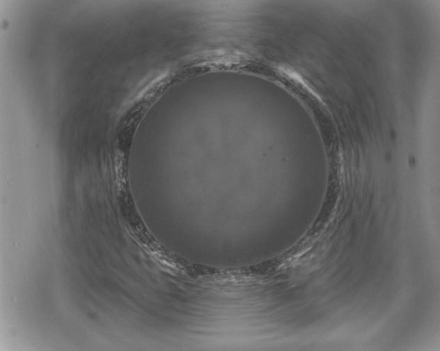 X0000070401399200606161333