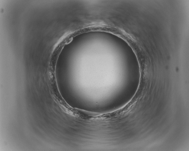 X0000070401400200606161333