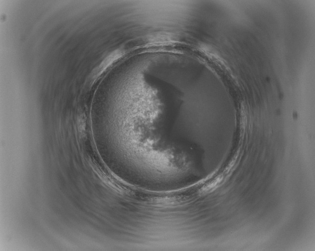 X0000070401401200606161333