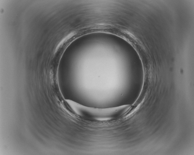 X0000070401402200606161333