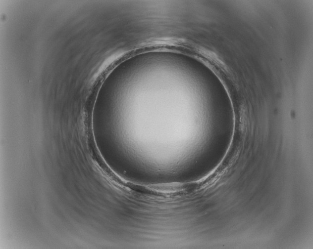 X0000070401404200606161333