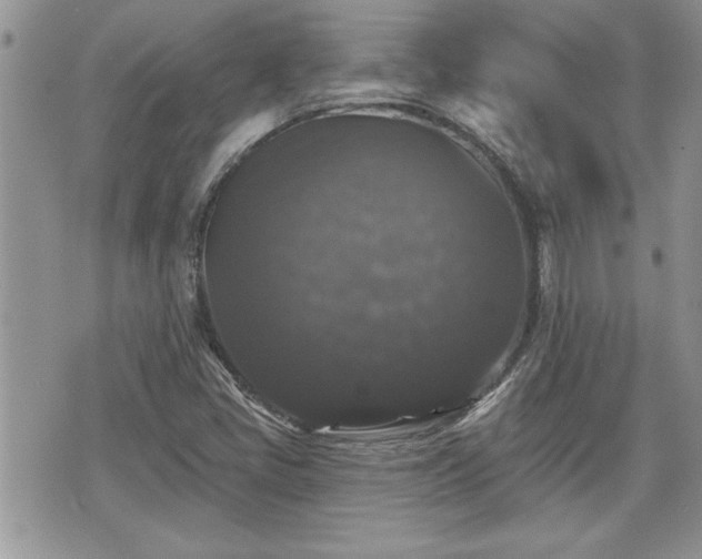 X0000070401405200606161333