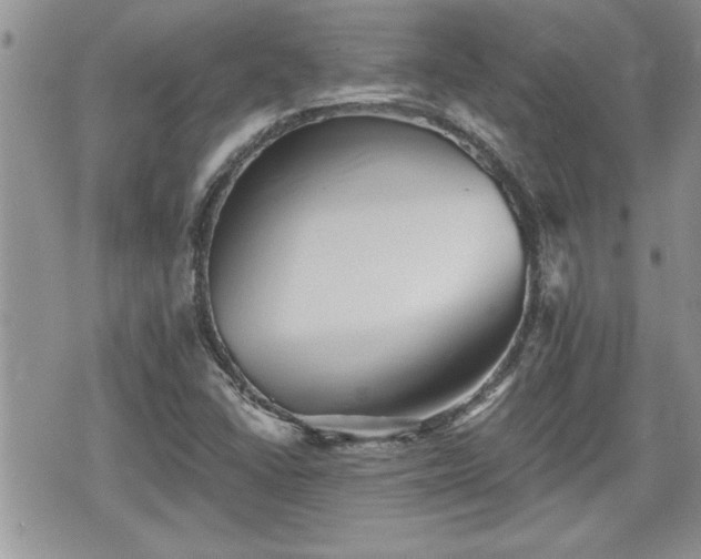 X0000070401406200606161334