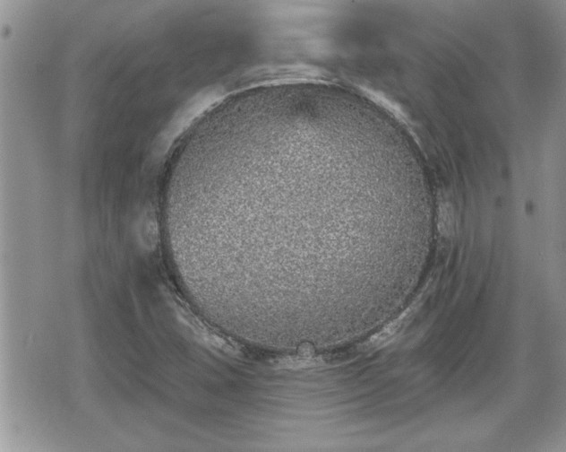 X0000070401407200606161334