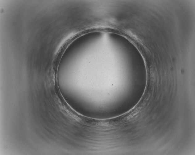 X0000070401408200606161334