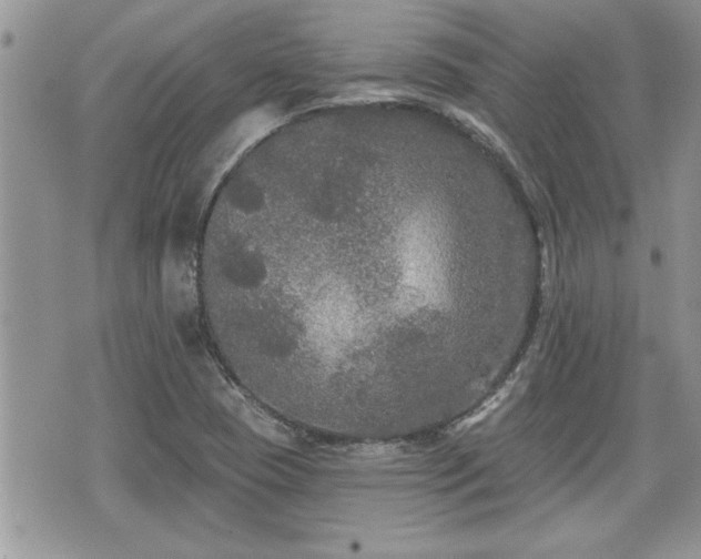 X0000070401409200606161334