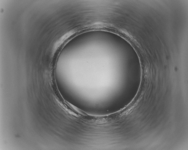 X0000070401410200606161334