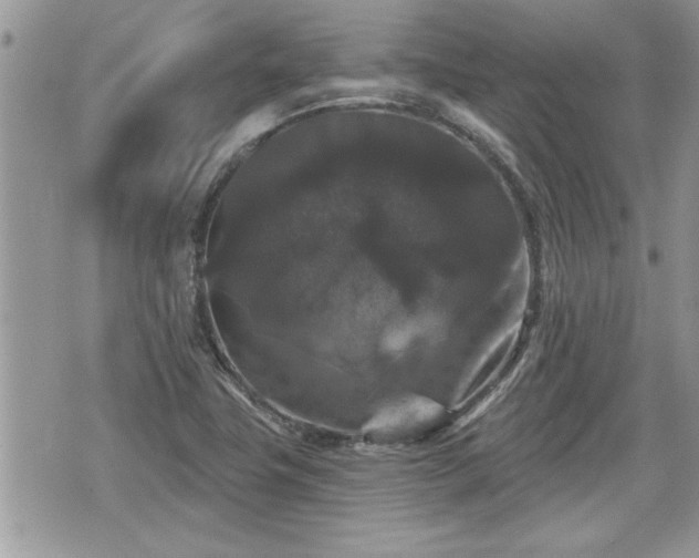 X0000070401411200606161334