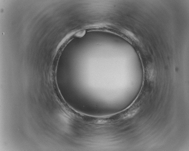 X0000070401412200606161334