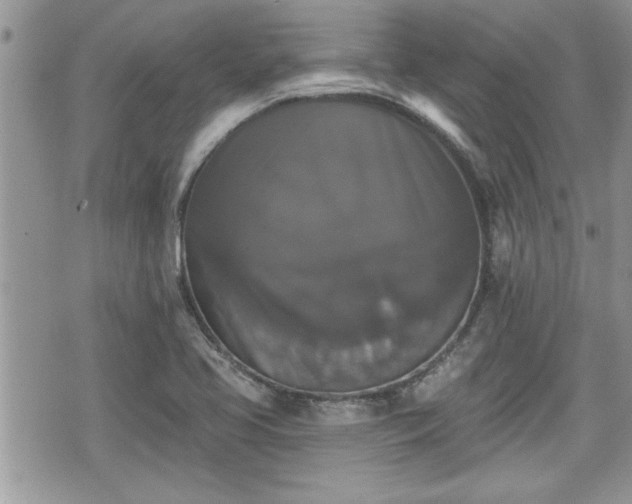 X0000070401413200606161334