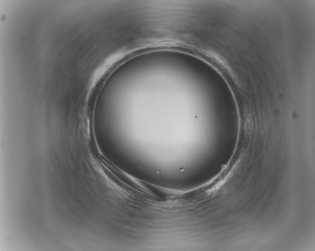 X0000070401414200606161334