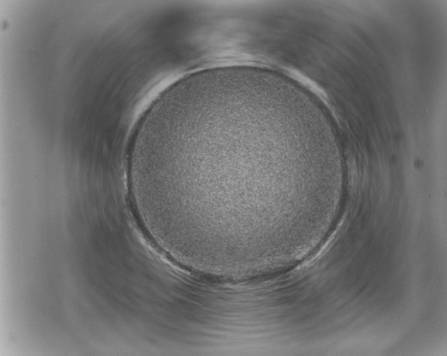 X0000070401415200606161334