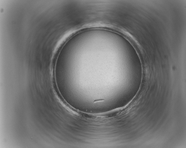 X0000070401416200606161334