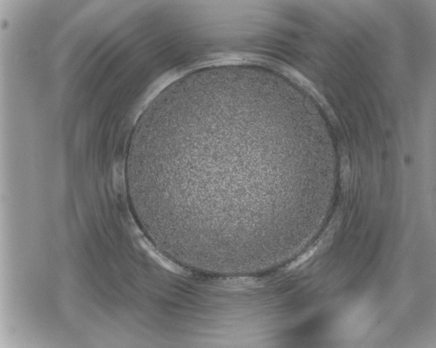 X0000070401417200606161334