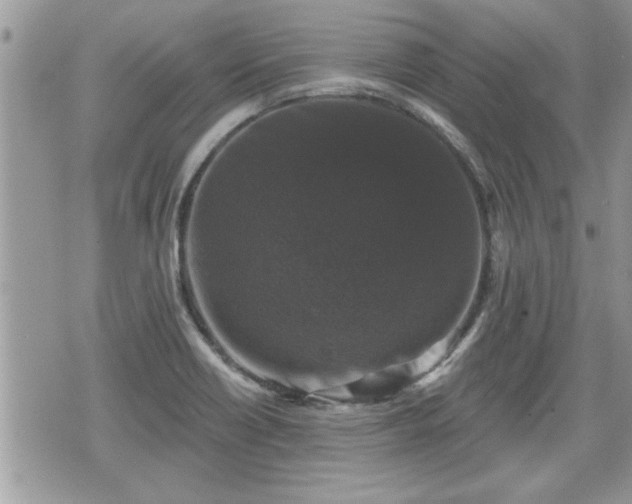 X0000070401418200606161334