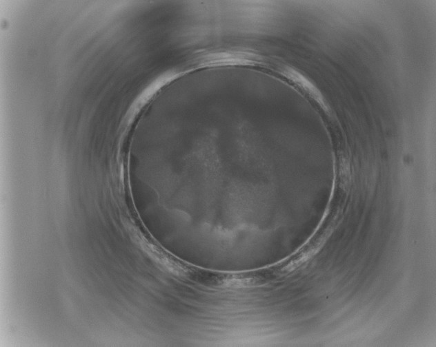 X0000070401419200606161334