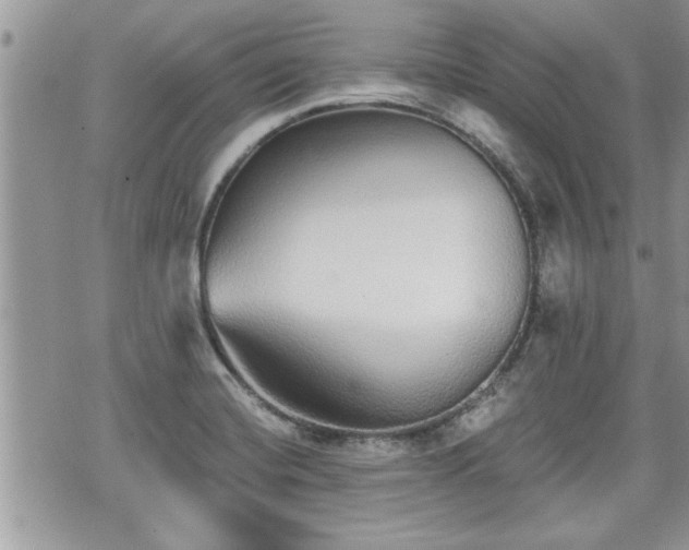 X0000070401420200606161334