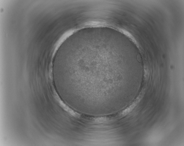 X0000070401421200606161334