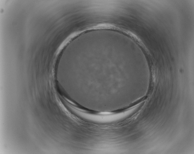 X0000070401422200606161334