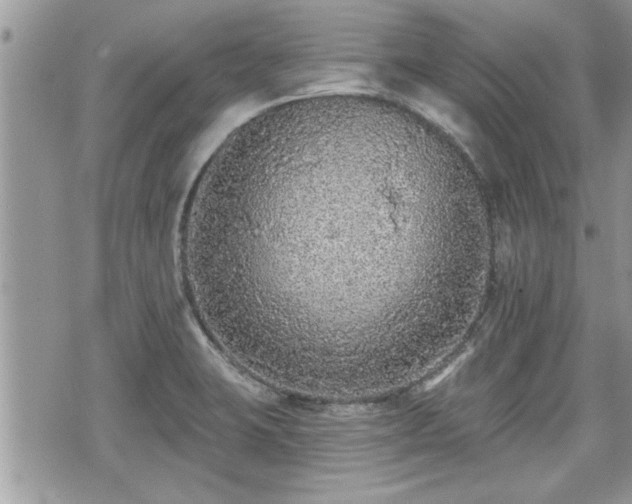 X0000070401423200606161334