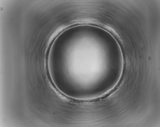 X0000070401424200606161334