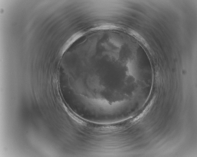 X0000070401425200606161334