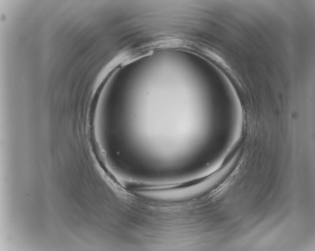 X0000070401426200606161334