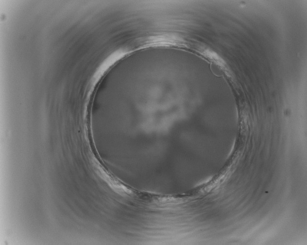 X0000070401427200606161334