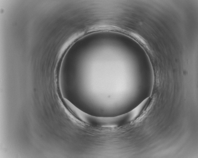 X0000070401430200606161334