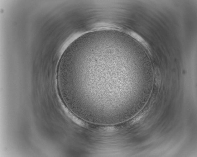 X0000070401431200606161334