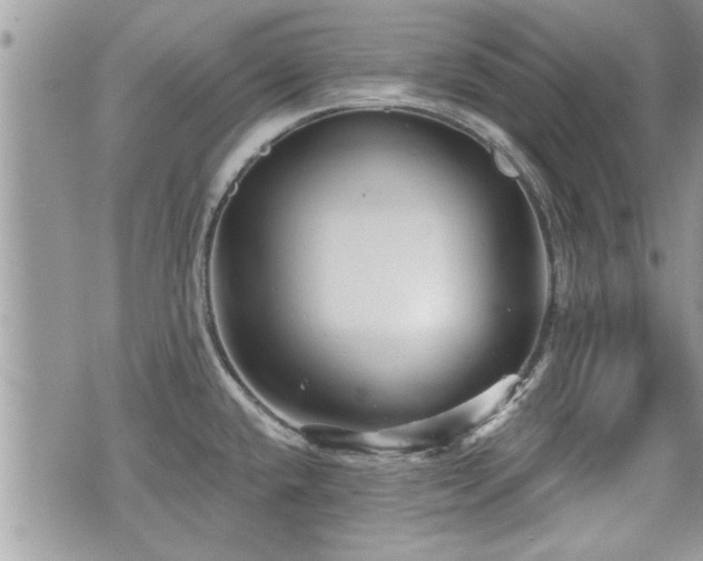 X0000070401432200606161334