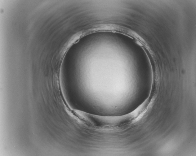 X0000070401433200606161334