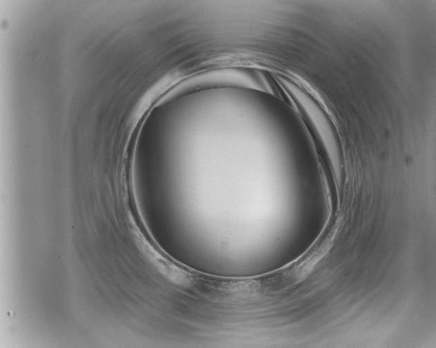 X0000070401434200606161334