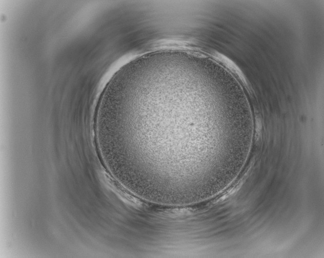 X0000070401435200606161334