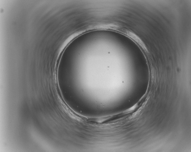 X0000070401436200606161334